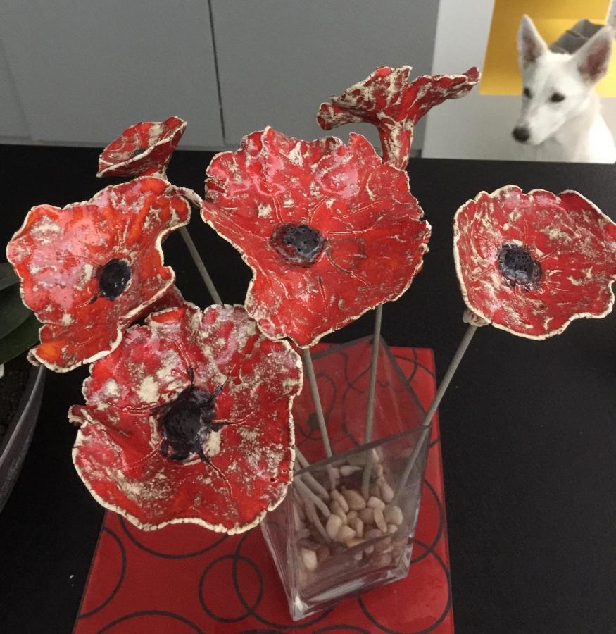 فندق Coquelicot Armentières المظهر الخارجي الصورة
